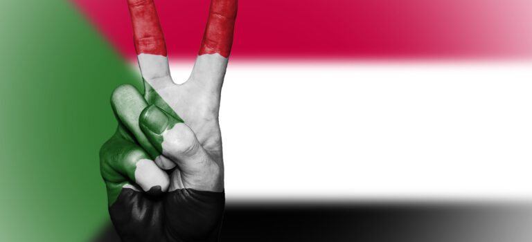 Der Sudan- Was passiert dort gerade? Der Sudan- Was passiert dort gerade?